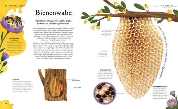 Große und kleine Schätze der Natur. Große und kleine Schätze der Natur