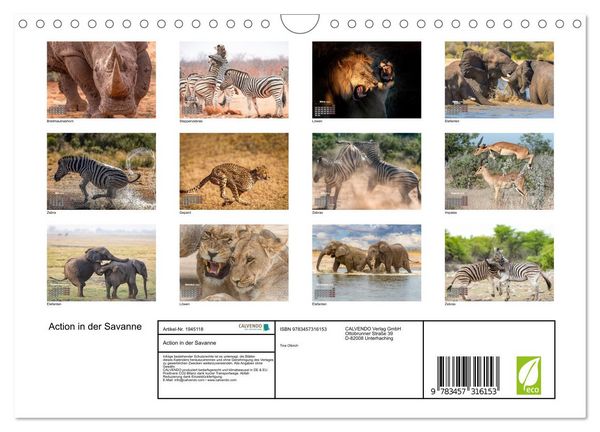 Produktbild: Action in der Savanne (Wandkalender 2026 DIN A4 quer), CALVENDO Monatskalender