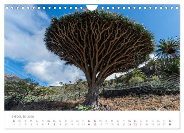 Produktbild: La Gomera &ndash; Die gr&uuml;ne Perle der Kanaren. (Wandkalender 2026 DIN A4 quer), CALVENDO Monatskalender