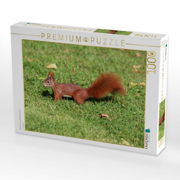 Produktbild: CALVENDO Puzzle Eichh&ouml;rnchen im ParkEichh&ouml;rnchen | 1000 Teile Lege-Gr&ouml;&szlig;e 64x48cm Foto-Puzzle f&uuml;r gl&uuml;ckliche Stunden