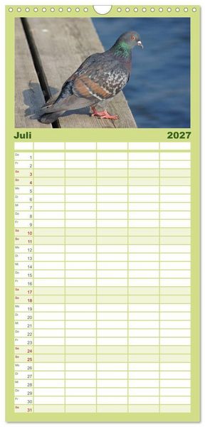 Produktbild: Familienplaner 2027 - Tauben in der Stadt mit 5 Spalten (Wandkalender, 21 x 45 cm) CALVENDO