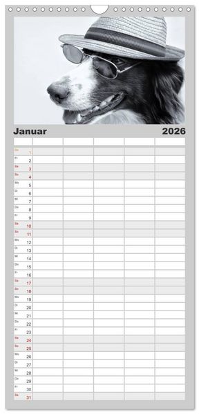 Produktbild: Familienplaner 2026 - H&uuml;tehunde mit 5 Spalten (Wandkalender, 21 x 45 cm) CALVENDO