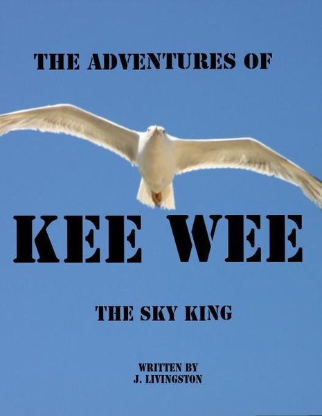 Produktbild: Adventures Of Kee-Wee (The Sky King)