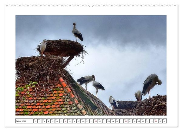 Produktbild: Bodensee - Seesucht (hochwertiger Premium Wandkalender 2026 DIN A2 quer), Kunstdruck in Hochglanz