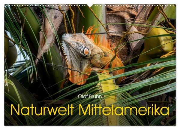Produktbild: Naturwelt Mittelamerika (Wandkalender 2027 DIN A2 quer), CALVENDO Monatskalender