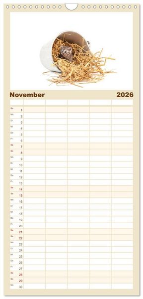 Produktbild: Familienplaner 2026 - Katzenbabys mit 5 Spalten (Wandkalender, 21 x 45 cm) CALVENDO
