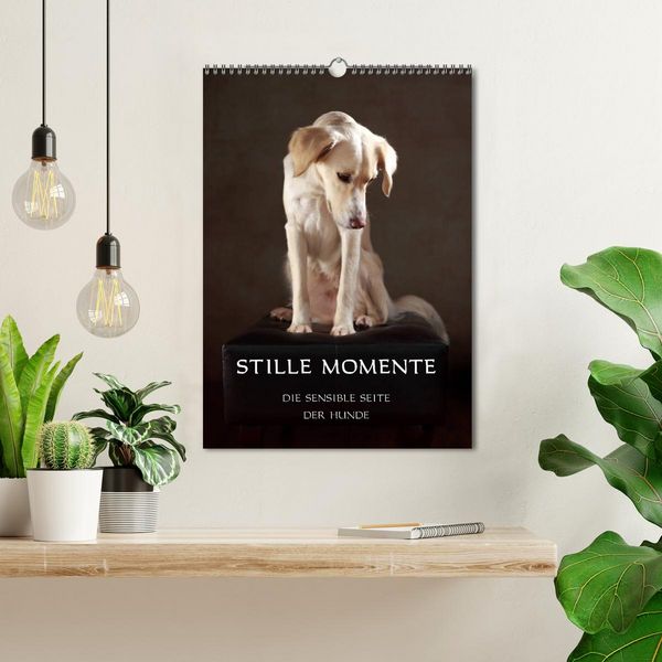 Produktbild: Stille Momente - Die sensible Seite der Hunde (Wandkalender 2026 DIN A3 hoch), CALVENDO Monatskalender