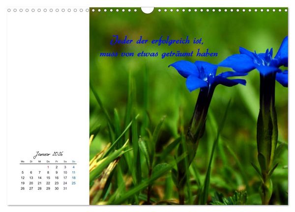 Produktbild: Innehalten in der Natur ... mit Weisheiten und Sprichworten der Indianer (Wandkalender 2026 DIN A3 quer), CALVENDO Monatskalender