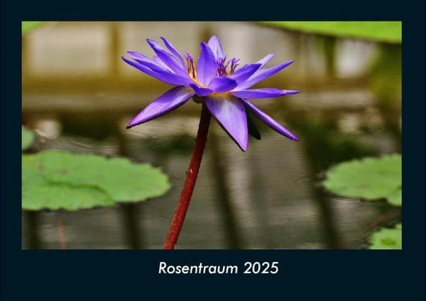 Produktbild: Rosentraum 2025 Fotokalender DIN A4