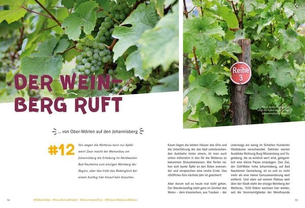 Produktbild: 52 kleine & gro&szlig;e Eskapaden Wetterau und Vogelsberg