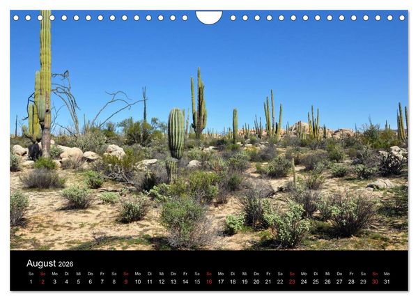 Produktbild: Baja California - Impressionen der mexikanischen Halbinsel (Wandkalender 2026 DIN A4 quer), CALVENDO Monatskalender