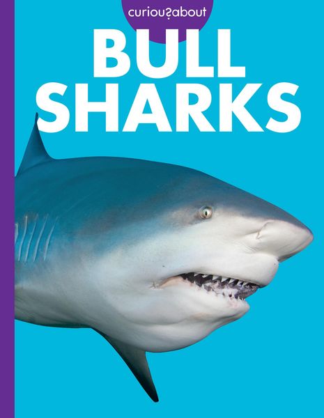 Produktbild: Curious about Bull Sharks