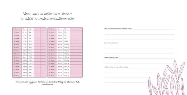 Produktbild: Meine Schwangerschaft