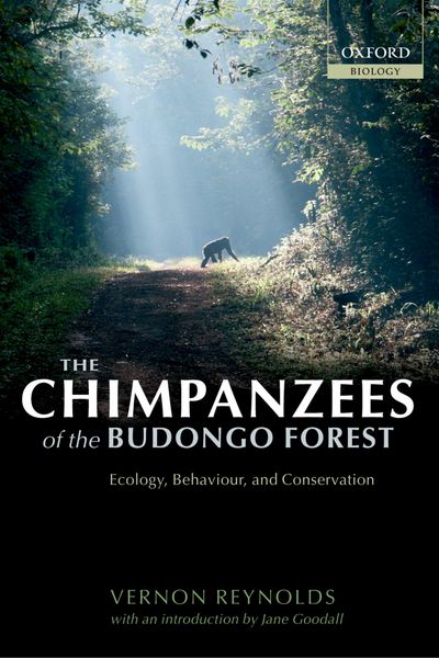 Produktbild: The Chimpanzees of the Budongo Forest