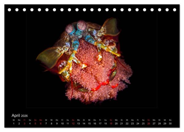 Produktbild: OCEAN - ART (Tischkalender 2026 DIN A5 quer), CALVENDO Monatskalender