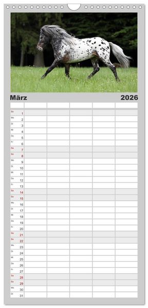Produktbild: Familienplaner 2026 - Pferde - im Galopp durch's Jahr mit 5 Spalten (Wandkalender, 21 x 45 cm) CALVENDO