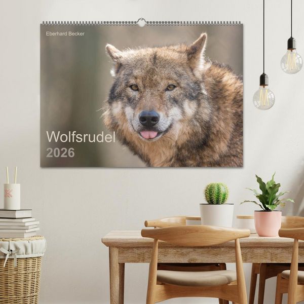Produktbild: Wolfsrudel (Wandkalender 2026 DIN A2 quer), CALVENDO Monatskalender
