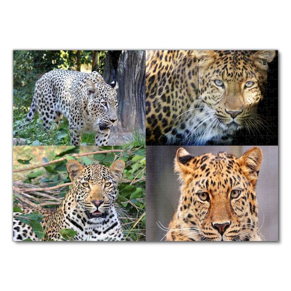 Produktbild: Lais Puzzle Collage Leopard 500 Teile