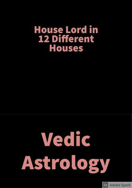 Produktbild: House Lord in 12 different Houses