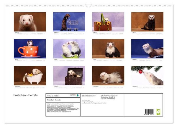 Produktbild: Frettchen - Ferrets (Wandkalender 2027 DIN A2 quer), CALVENDO Monatskalender