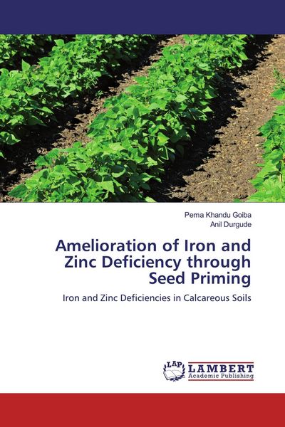 Produktbild: Amelioration of Iron and Zinc Deficiency through Seed Priming