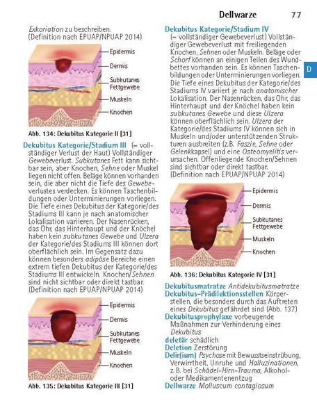 Wörterbuch Medizin pocket : Kleines Lexikon - medizinische Fachbegriffe , Fremdwörter und Terminologie