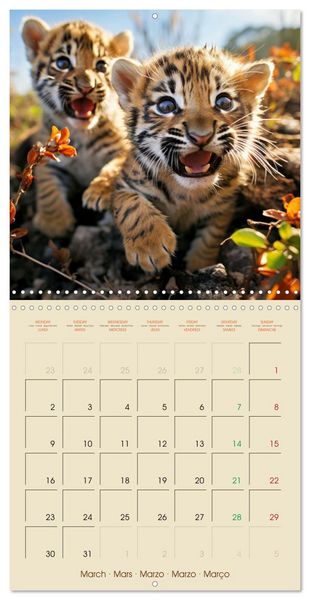Produktbild: Let's go on Safari - Animal babies in Africa (Wall Calendar 2026 12 &times; 12 Inch) CALVENDO 12 Month Wall Calendar