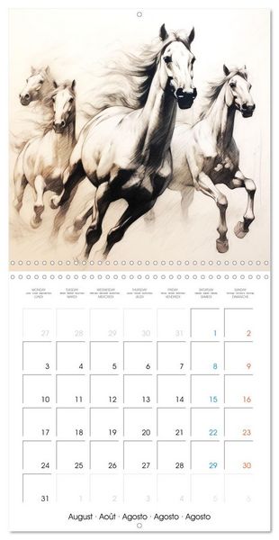 Produktbild: &Eacute;l&eacute;gance &eacute;quine (Calendrier mural carr&eacute; 2026 30x30 cm) Calendrier double avec une page pour vos prises de notes