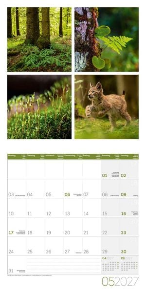 Produktbild: Colours of Nature Kalender 2027 - 30x30 - Art12