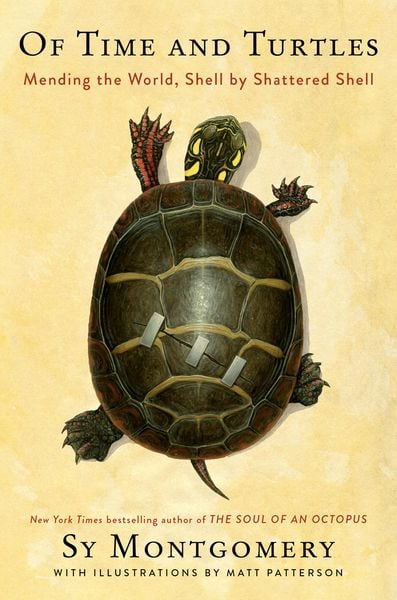 Produktbild: Of Time and Turtles