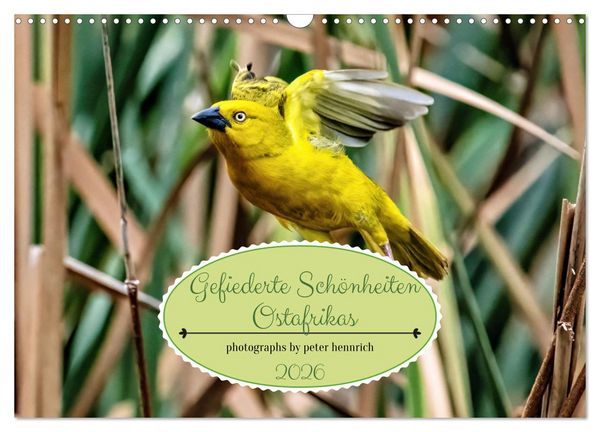 Produktbild: Gefiederte Sch&ouml;nheiten Ostafrikas (Wandkalender 2026 DIN A3 quer), CALVENDO Monatskalender