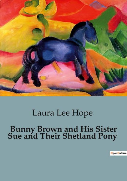 Produktbild: Bunny Brown and His Sister Sue and Their Shetland Pony