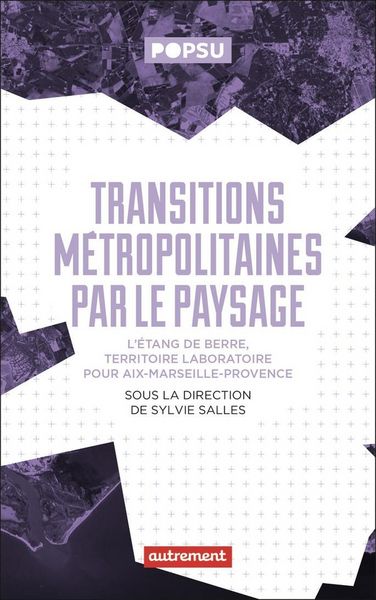 Produktbild: Transitions m&eacute;tropolitaines par le paysage