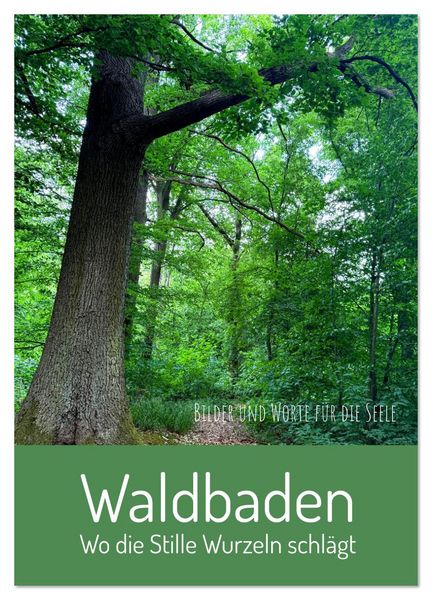 Waldbaden – Wo die Stille Wurzeln schlägt (Wandkalender 2026 DIN A2 hoch), CALVENDO Monatskalender