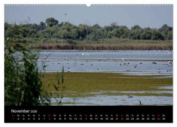 Produktbild: Donaudelta (Wandkalender 2026 DIN A2 quer), CALVENDO Monatskalender