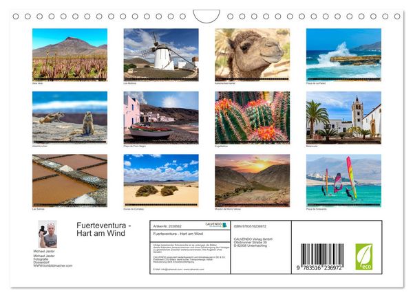Produktbild: Fuerteventura - Hart am Wind (Wandkalender 2026 DIN A4 quer), CALVENDO Monatskalender