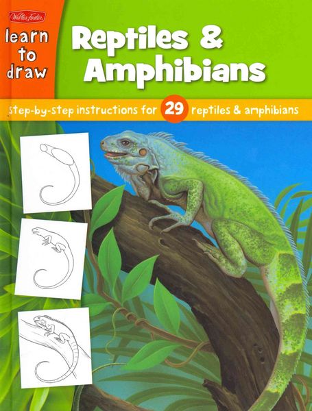 Produktbild: Learn To Draw Reptiles & Amphi