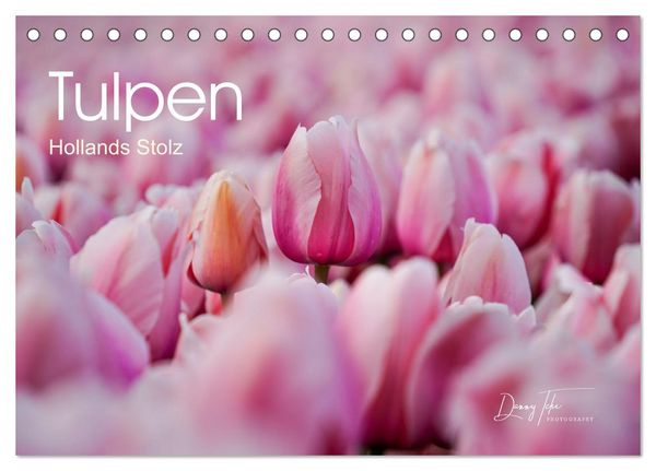 Produktbild: Tulpen - Hollands Stolz (Tischkalender 2026 DIN A5 quer), CALVENDO Monatskalender