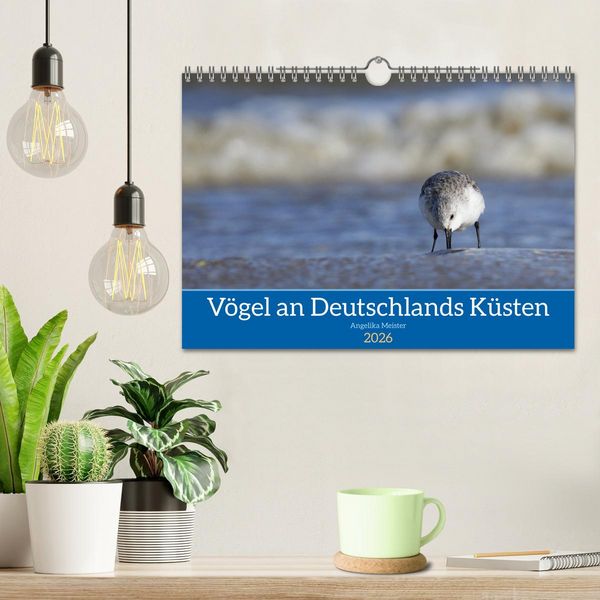 Produktbild: V&ouml;gel an Deutschlands K&uuml;sten (Wandkalender 2026 DIN A4 quer), CALVENDO Monatskalender