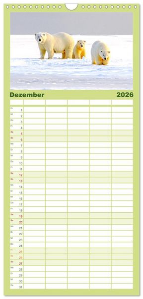 Produktbild: Familienplaner 2026 - B&auml;ren - Pandas, Grizzlyb&auml;ren und Co. mit 5 Spalten (Wandkalender, 21 x 45 cm) CALVENDO