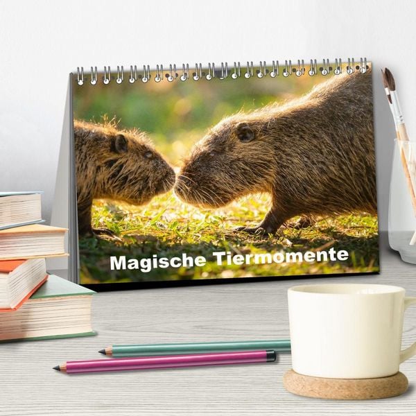Produktbild: Magische Tiermomente (Tischkalender 2027 DIN A5 quer), CALVENDO Monatskalender