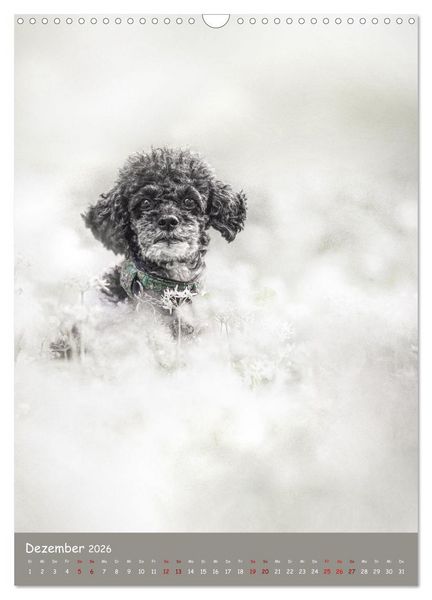 Produktbild: Flora Canidae - der Hunde-Bl&uuml;hpflanzen-Kalender (Wandkalender 2026 DIN A3 hoch), CALVENDO Monatskalender