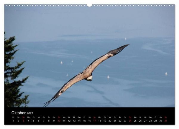 Produktbild: Faszination Bodensee (hochwertiger Premium Wandkalender 2027 DIN A2 quer), Kunstdruck in Hochglanz