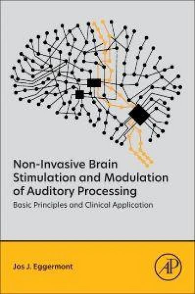 Produktbild: Non-Invasive Brain Stimulation and Modulation of Auditory Processing