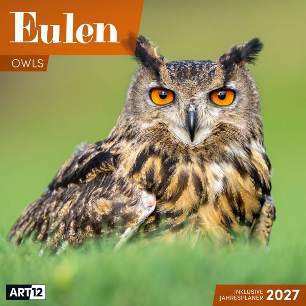 Produktbild: Eulen Kalender 2027 - 30x30 - Art12