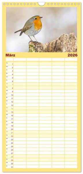 Produktbild: Familienplaner 2026 - Geliebtes Rotkehlchen mit 5 Spalten (Wandkalender, 21 x 45 cm) CALVENDO