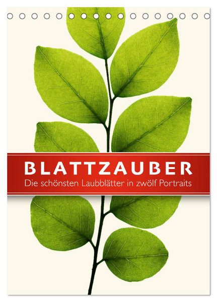 Produktbild: Blattzauber (Tischkalender 2026 DIN A5 hoch), CALVENDO Monatskalender