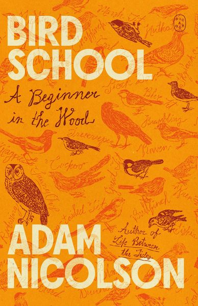 Produktbild: Bird School