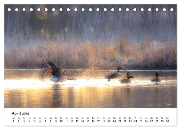 Produktbild: Morgendliche Stimmungen in Nordhessen (Tischkalender 2026 DIN A5 quer), CALVENDO Monatskalender