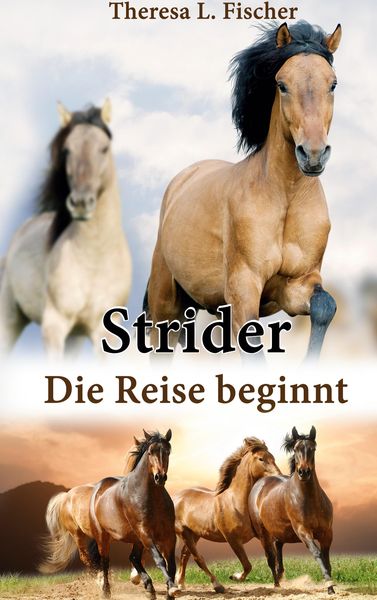 Produktbild: Strider